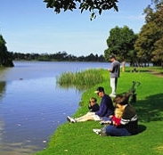 Sale Motor Village - Tourism Gold Coast