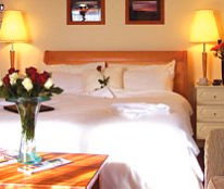 Shearing Shed Motor Inn - Tourism Gold Coast 1