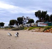 Stansbury Foreshore Caravan Park - Tourism Gold Coast