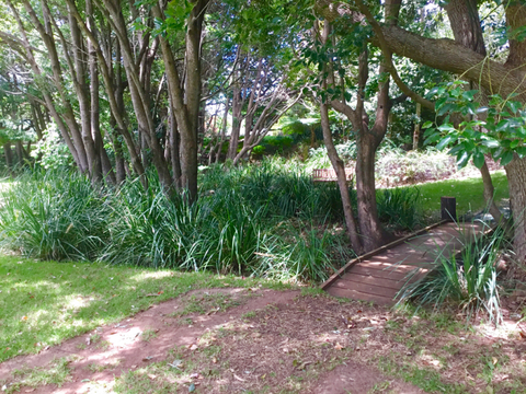 Wiikirri Bed And Breakfast Retreat - Tourism Gold Coast 17