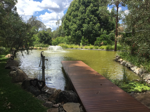 Wiikirri Bed And Breakfast Retreat - Tourism Gold Coast 29