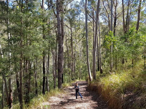 Nirvana Spiritual Retreat - Tourism Gold Coast 2