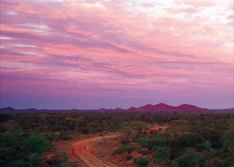 Bond Springs Outback Retreat - Tourism Gold Coast 3