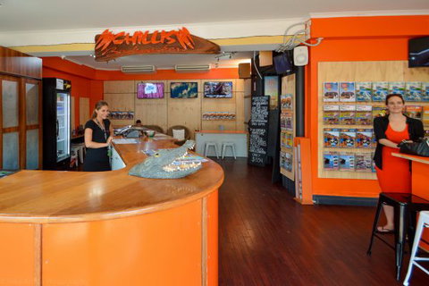 Chillis Backpackers - Tourism Gold Coast 7