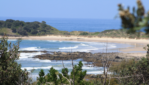 The Bowlo Holiday Cabins - Tourism Gold Coast 0