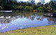 The Retreat Bushland Lodge - thumb 3