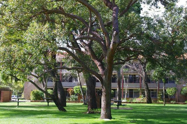 Nedlands WA Tourism Gold Coast