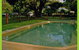 Twin Falls Bush Cottages - thumb 4