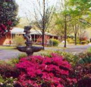 View Hill Holiday Units - Tourism Gold Coast