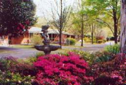 View Hill Holiday Units - Tourism Gold Coast 0