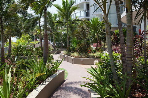Vision Cairns Esplanade - Tourism Gold Coast 13