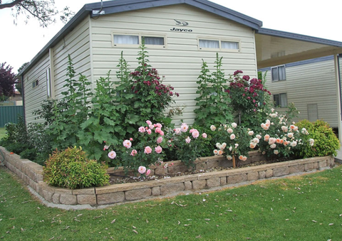 Walcha Caravan Park - Tourism Gold Coast 3