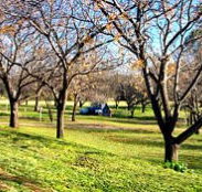 Wellington Caves Caravan Park - Tourism Gold Coast