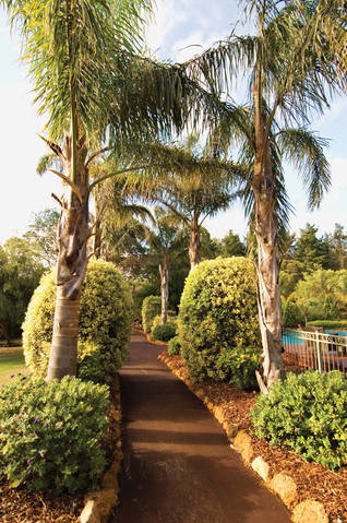 Windmills Break - Tourism Gold Coast 7