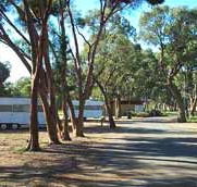 Wycheproof Caravan Park - Tourism Gold Coast