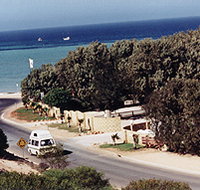 Denham Seaside Tourist Village - Tourism Gold Coast