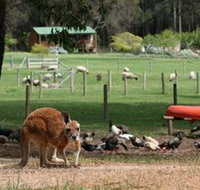 Diamond Forest Cottages and Farm Stay - Tourism Gold Coast