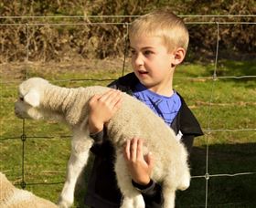 Diamond Forest Cottages And Farm Stay - Tourism Gold Coast 1