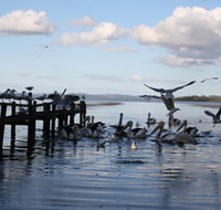 Pelicans At Denmark - Holiday Home - Tourism Gold Coast