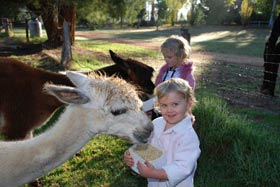 Treenbrook Cottages - Tourism Gold Coast 3