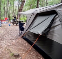 WA Wilderness Catered Camping at Big Brook Arboretum - Tourism Gold Coast