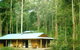 Warren River Resort - thumb 0