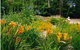 Warren River Resort - thumb 3