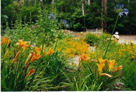 Warren River Resort - Tourism Gold Coast 3