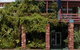 Best Western Elkira Resort Motel - thumb 4