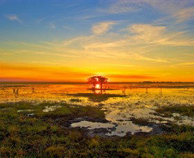 Wildman Wilderness Lodge - Tourism Gold Coast 2