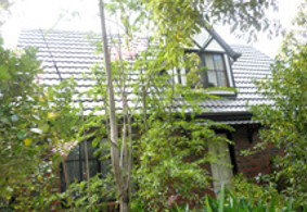 Wirilda And Cottage - Tourism Gold Coast 5