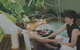 Peppers Spa - Palm Cove - thumb 3
