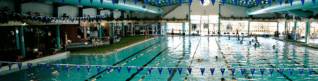 Belmont Oasis Aquatic Centre - Tourism Gold Coast 1