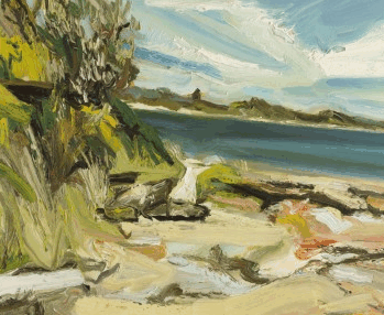 Jan Murphy Gallery - Tourism Gold Coast 1