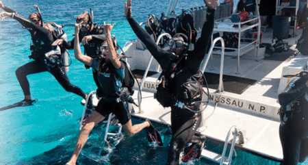 Snorkel Safari Brisbane - Tourism Gold Coast