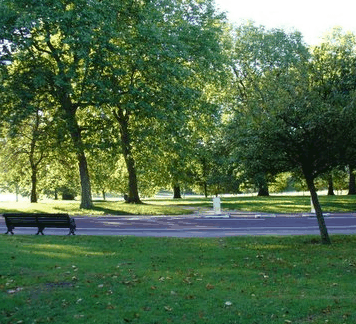 Riverdale Park - Tourism Gold Coast 0