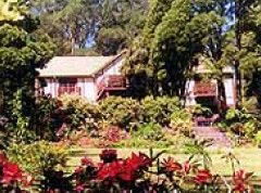 Delvin Health Retreat - Tourism Gold Coast 0