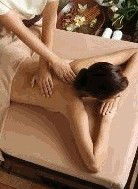 Argital Clay Australia - Tourism Gold Coast 1