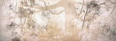 Dianne Tanzer Gallery & Projects - Tourism Gold Coast 3