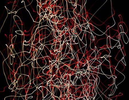 Eleven40 Gallery - Tourism Gold Coast 1