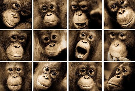 Eleven40 Gallery - Tourism Gold Coast 3