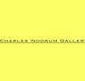 Charles Nodrum Gallery - Tourism Gold Coast