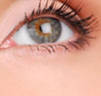 Cinnamon Stix Hair  Day Spa - Tourism Gold Coast