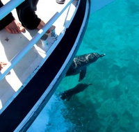 Pelican Charters - Gold Coast