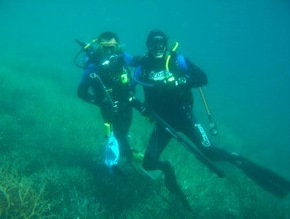 Pelican Charters - Gold Coast 1