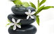 Tea House Spa Sauna - thumb 0