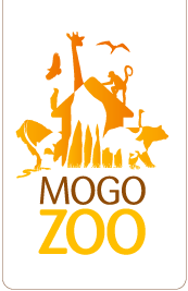 Mogo Zoo - Gold Coast 0