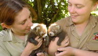 Mogo Zoo - Gold Coast 3
