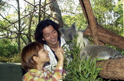 Taronga Zoo - Tourism Gold Coast 2