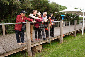 Phillip Island Penguin Parade - Gold Coast 1
